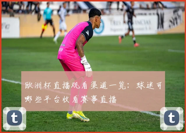 欧洲杯直播观看渠道一览:球迷可哪些平台收看赛事直播