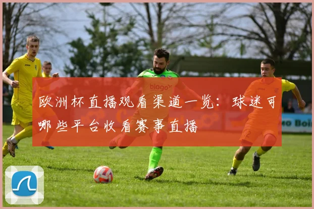 欧洲杯直播观看渠道一览:球迷可哪些平台收看赛事直播