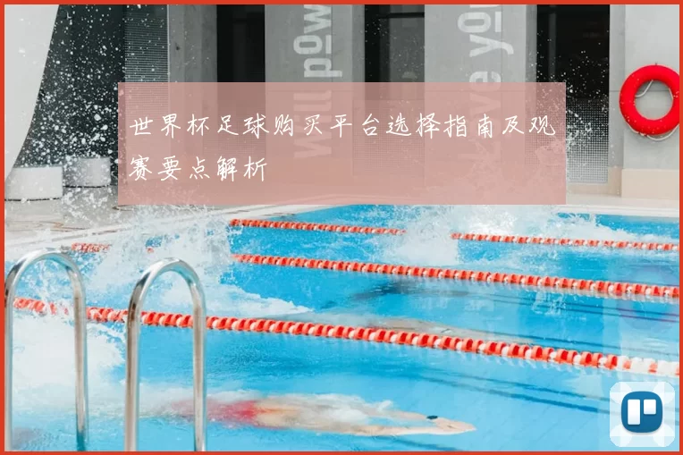 世界杯足球购买平台选择指南及观赛要点解析