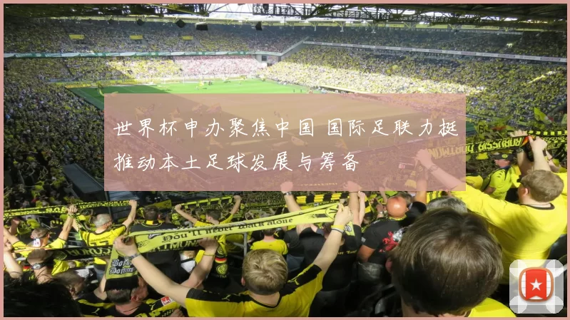 世界杯申办聚焦中国 国际足联力挺推动本土足球发展与筹备