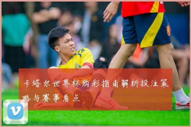 卡塔尔世界杯购彩指南解析投注策略与赛事看点