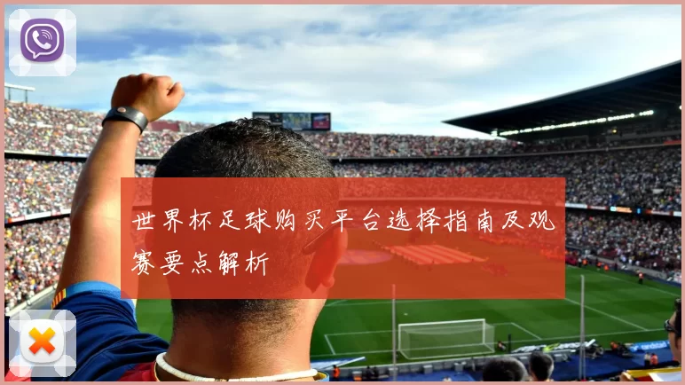 世界杯足球购买平台选择指南及观赛要点解析